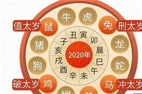 2024年属虎运势|2024属虎全年运势 2024属虎全年运势详解